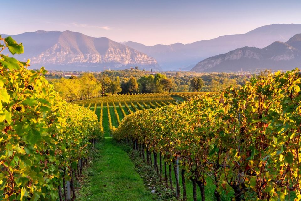 VIP Experience to Lake Iseo and Franciacorta Wine Tasting - Key Points