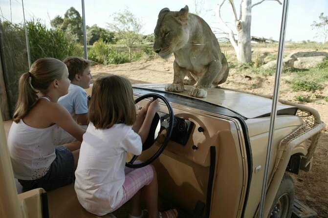 Werribee Open Range Zoo General Admission Ticket - Key Points