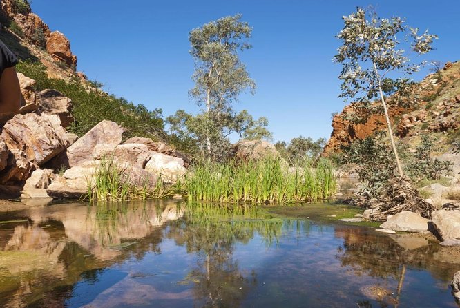 West Macdonnell Ranges- Half Day Trip From Alice Springs - Key Points