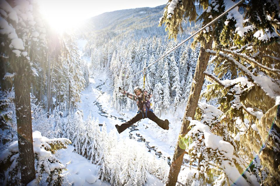 Whistler Zipline Experience: Ziptrek Bear Tour - Key Points