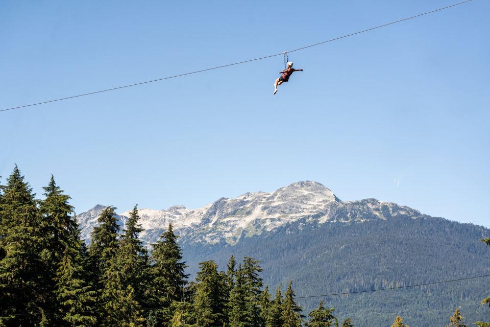 Whistler Zipline Experience: Ziptrek Eagle Tour - Key Points