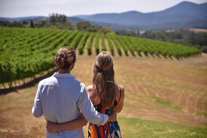 Yarra Valley Grazing Tour With Champagne Brunch at Chandon - Key Points