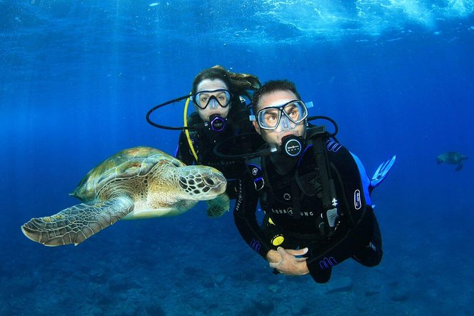 3- Day Advanced Open Water Diver Course on the Gold Coast