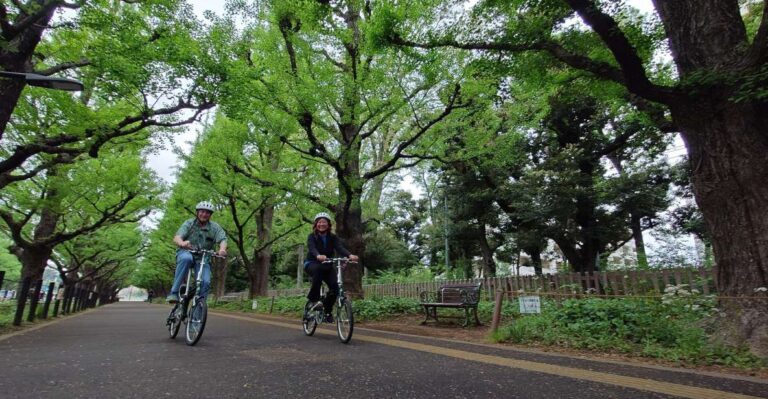 3-Hour Private E-Bike Tour Fr Shinjuku, Start at Your Hotel