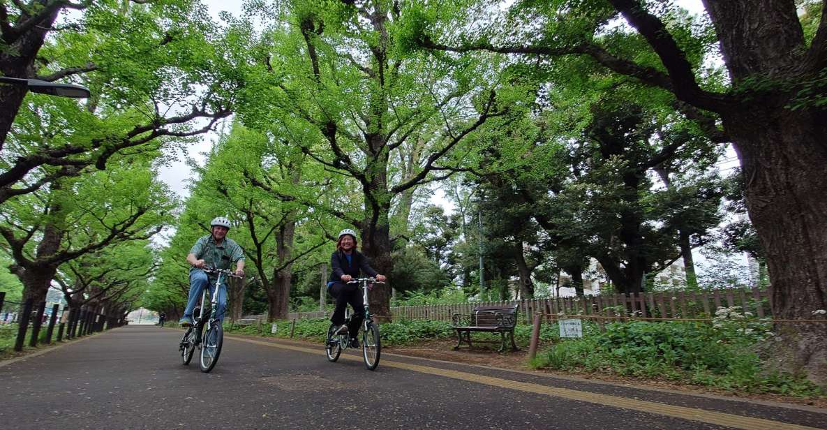 3-Hour Private E-Bike Tour Fr Shinjuku, Start at Your Hotel - Highlights of the Tour