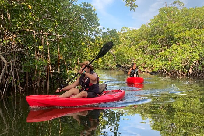 A Private Half-Day Kayaking Experience in Nichupté Lagoon  - Cancun - Experience Highlights