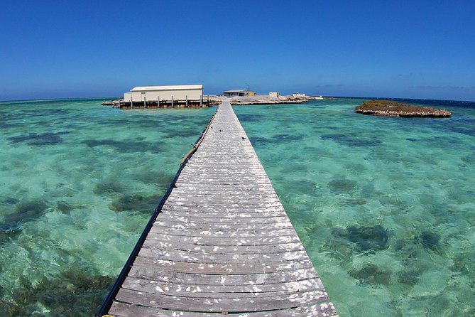 Abrolhos Islands 5 Day Cruise