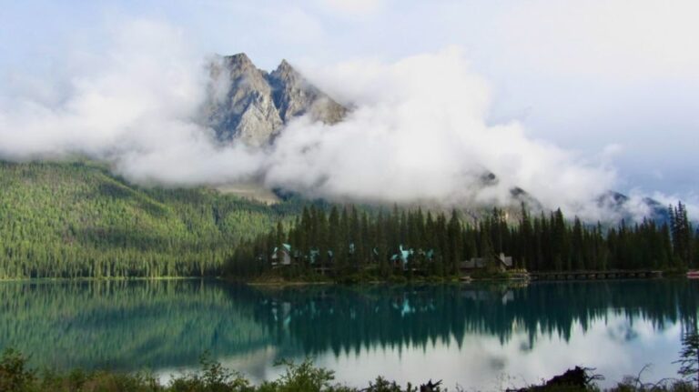 Banff: Waterfalls Tour in Banff & Yoho National Parks