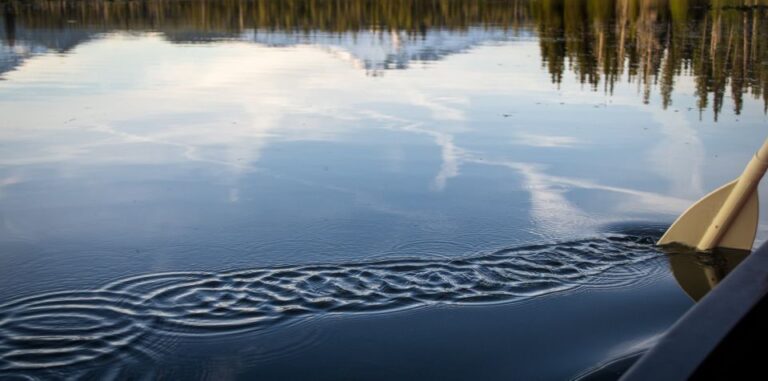 Bend: Moonlight and Starlight Canoe Tour