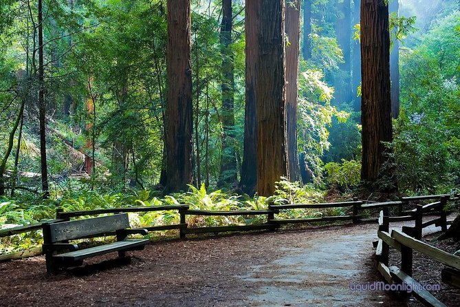 Big Bus Muir Woods Tour - Traveler Benefits