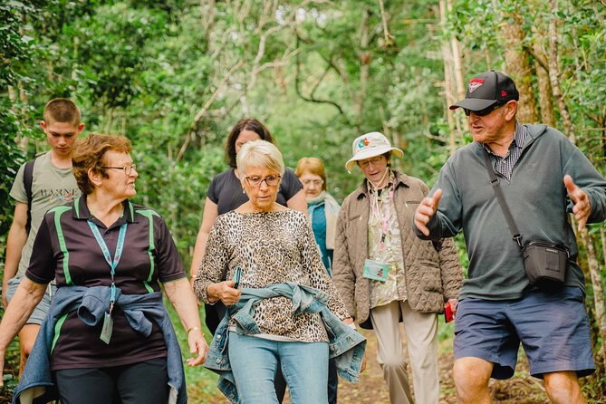 Breakfast Bushwalk & Clifftop BBQ Tour