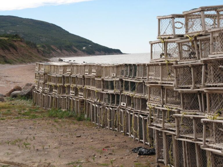 Cabot Trail Smartphone Audio Driving Tour