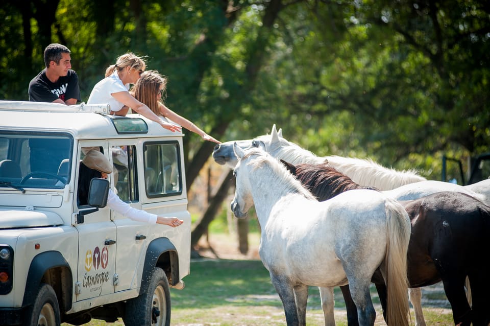 Camargue: Half-Day 4x4 Guided Safari Adventure - Safari Adventure Highlights