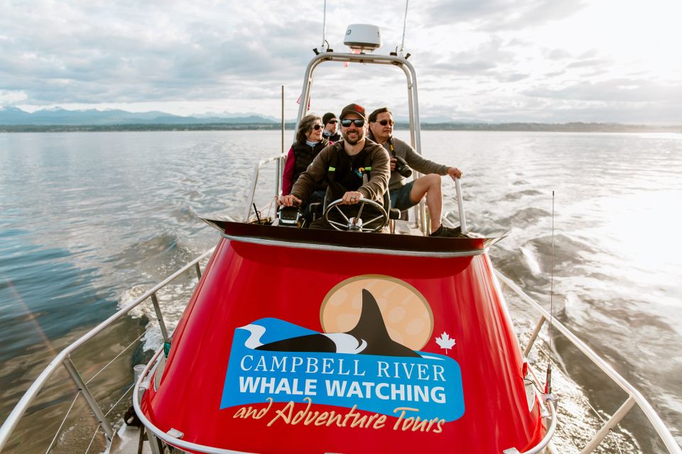 Campbell River: Whale Watching and Wildlife Viewing Day Tour - Tour Details