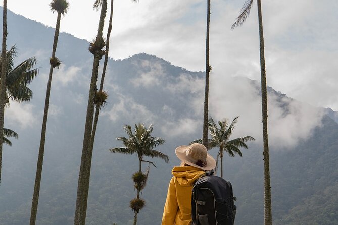 Cocora Valley and Salento Hike Tour