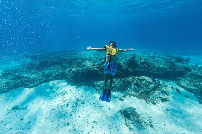 Cozumel Snorkel Tour: Coral Reefs, El Cielo & Beach Break - Tour Itinerary and Meeting Point