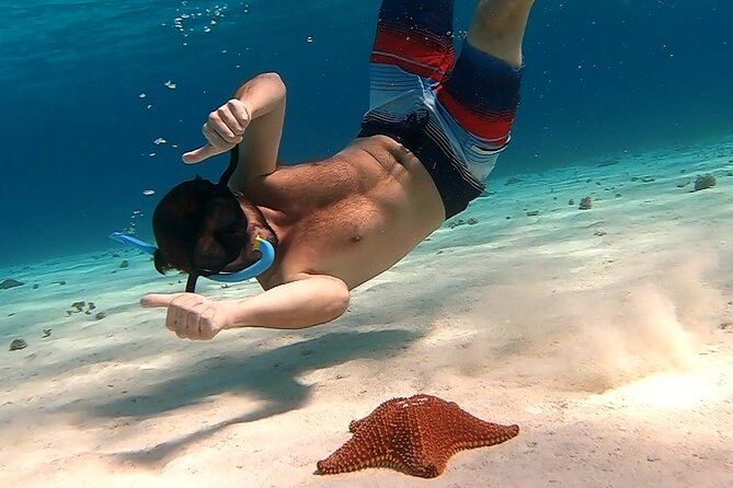 Cozumel Snorkeling Tour: Starfish, Stingrays and the Turtle Bay Experience - Tour Highlights and Logistics