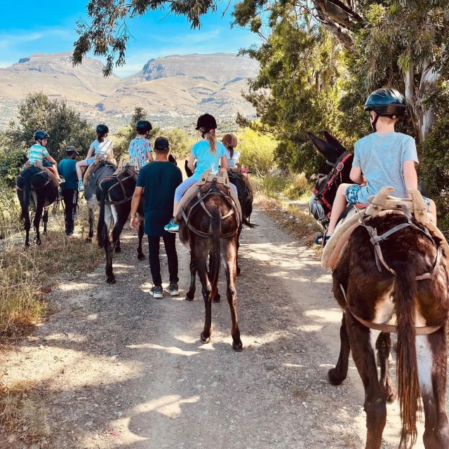 Donkey Riding - Brief & Easy Ride - Booking and Prices