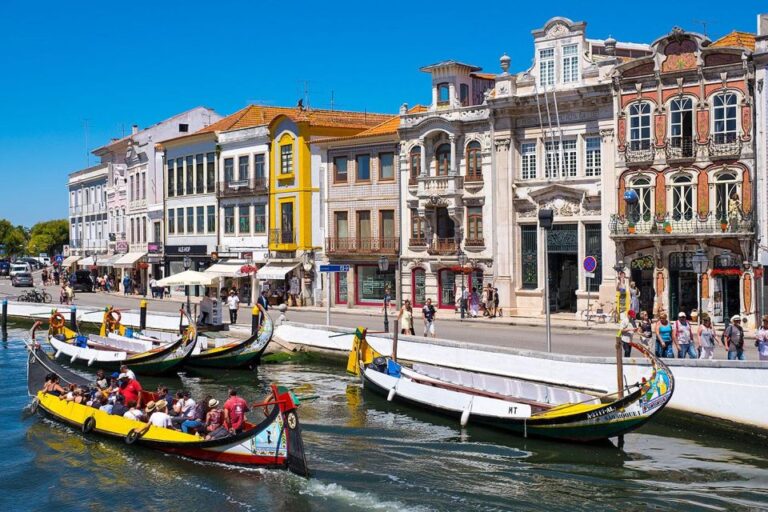 From Lisbon: Private Aveiro and Ilhavo Full Day Tour