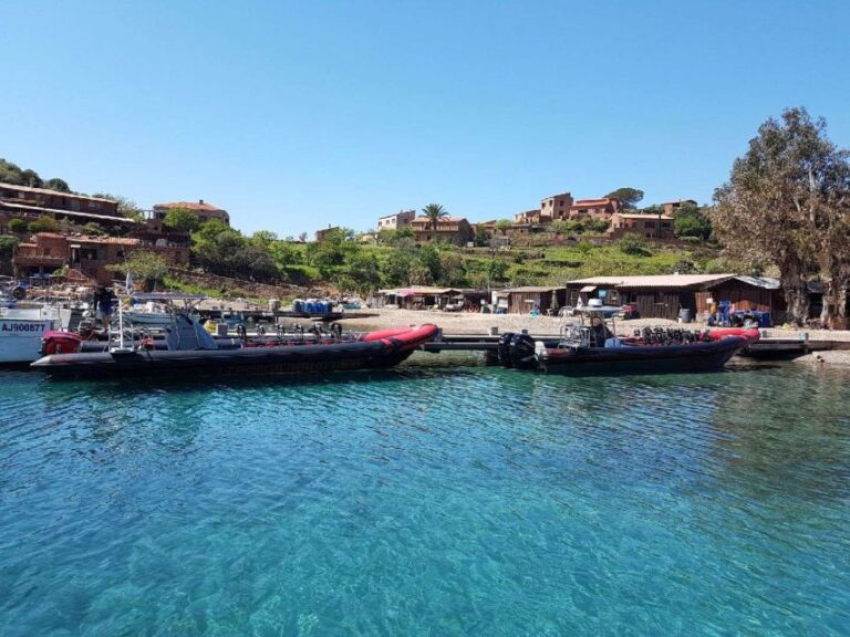 From Sagone/Cargèse: Capo Rosso, Piana & Scandola Boat Tour