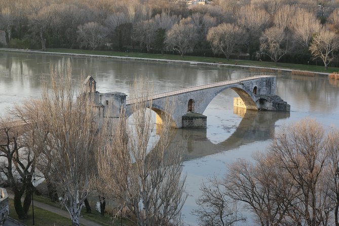 Full Day Tour Avignon & Châteauneuf Du Pape Wine Shore Excursion