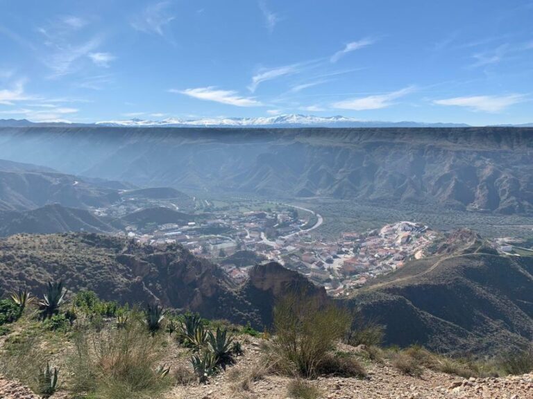 Granada Geopark: Desert and Prehistory Tour With Lunch