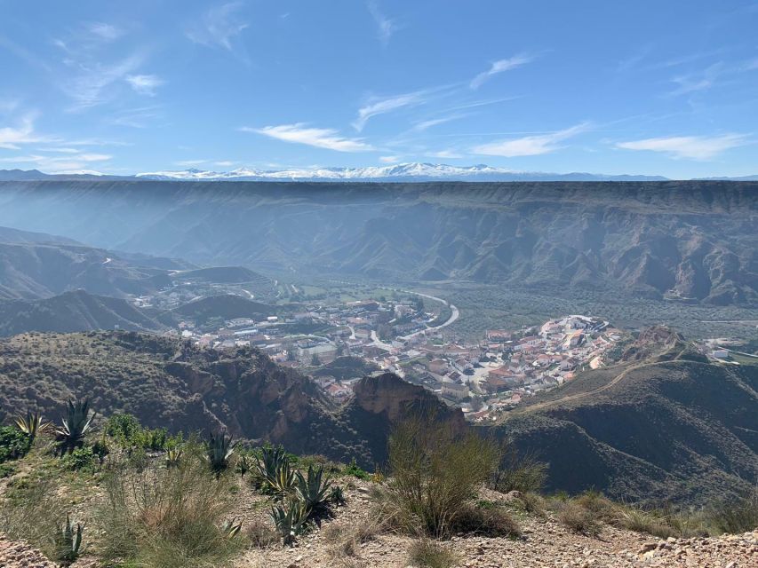 Granada Geopark: Desert and Prehistory Tour With Lunch - Tour Details