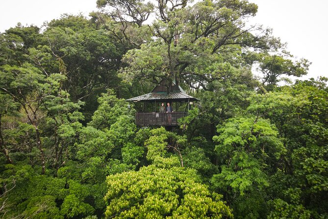 Guided Private Forest and Waterfalls Hike With Lunch Included  - Playa Hermosa - Pickup Options and Details