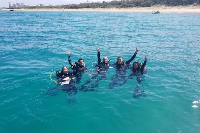 Guided Snorkel With Fish Tour at Wavebreak Island, Gold Coast