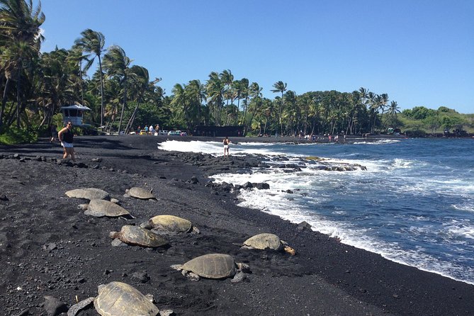 Hawaii Big Island Circle Small Group Tour: Waterfalls - Hilo - Volcano - Black Sand Beach - Tour Highlights