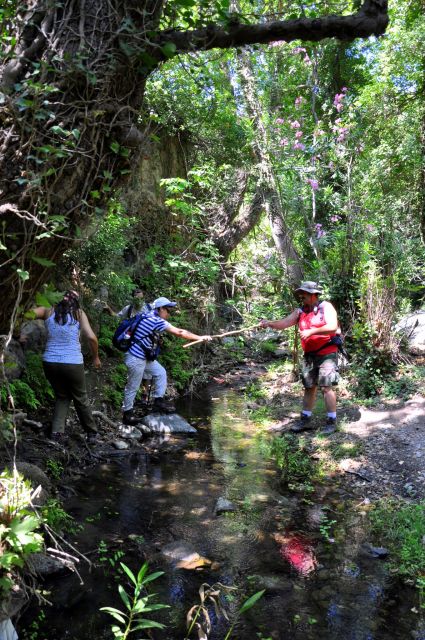 Heraklion: Full Day to Rihti Waterfalls, Mochlos, Azoria