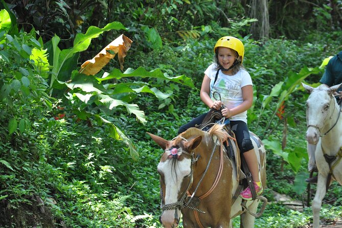 Horseback Riding Through the Jungle - Guide and Safety