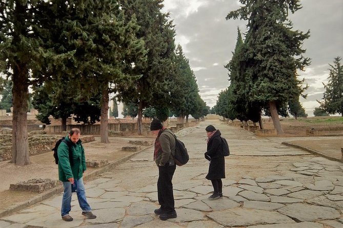 Italica Roman Ruins Tour From Seville - Tour Overview