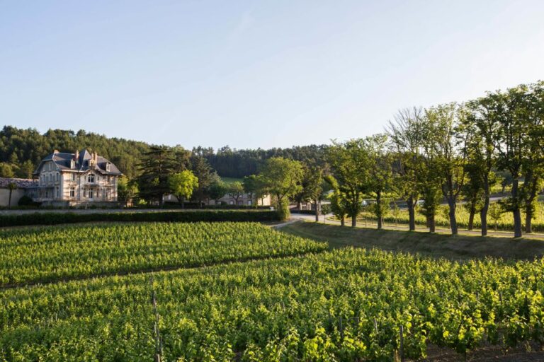 Languedoc: Tour and Tasting at Domaine De Baronarques