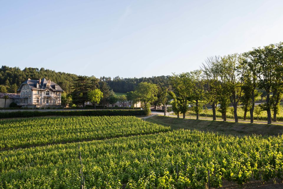 Languedoc: Tour and Tasting at Domaine De Baronarques - Tour Details and Logistics