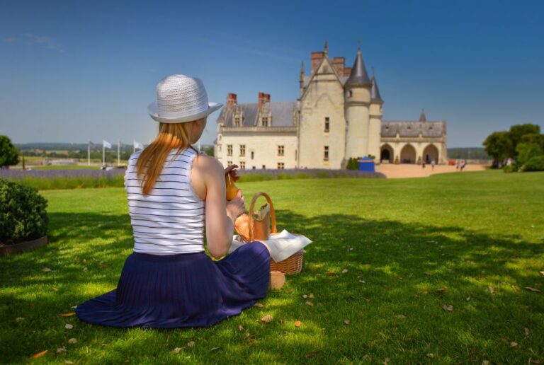 Loire Valley: Royal Château D’amboise Entrance Ticket