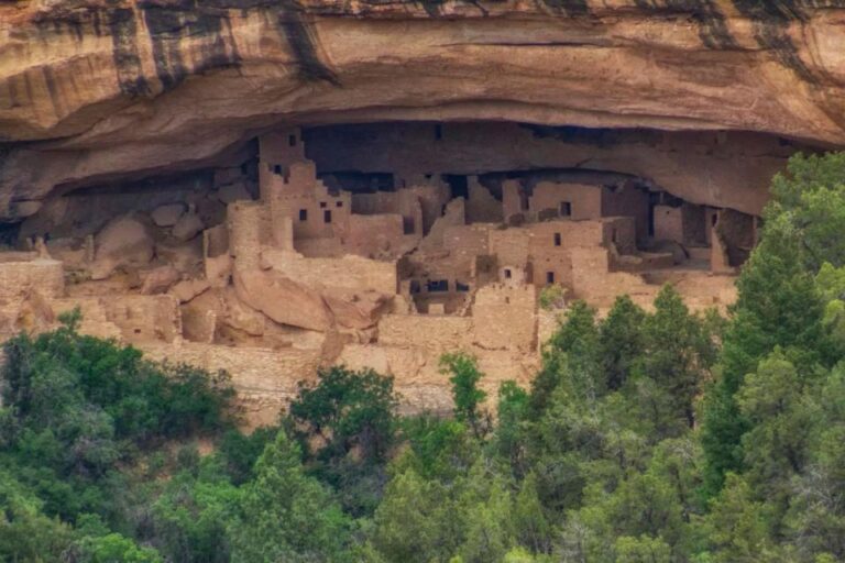 Mesa Verde National Park — Half Day Tour