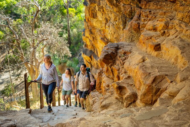 Morialta Wilderness and Wildlife Hike