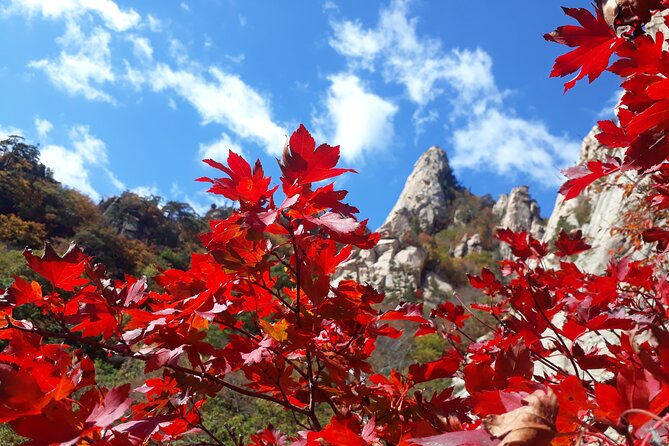 Mt. Seorak+Nami Island+Garden of Morning Calm Day Trip From Seoul