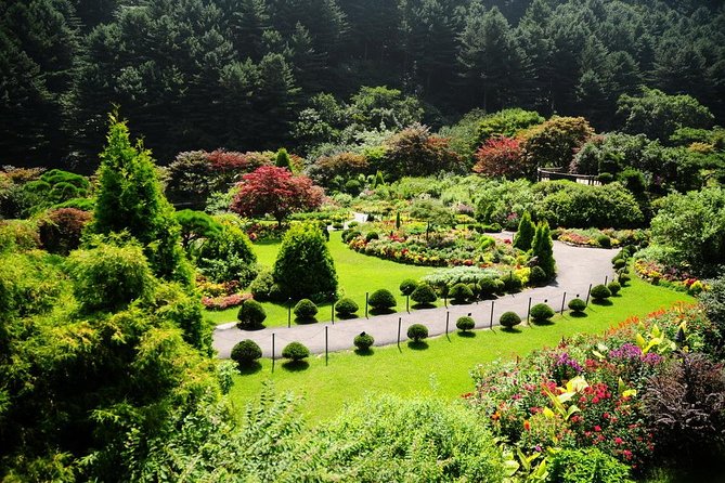 Nami Island With Garden of Morning Calm Trip