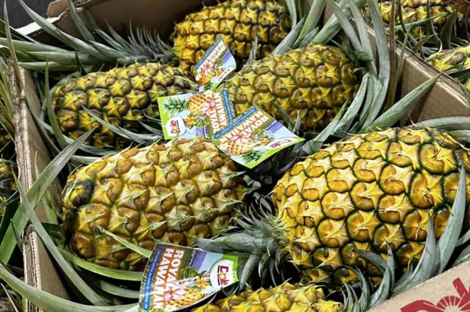 Oahu: North Shore Dole Pineapple Farm Tour - Experience Overview