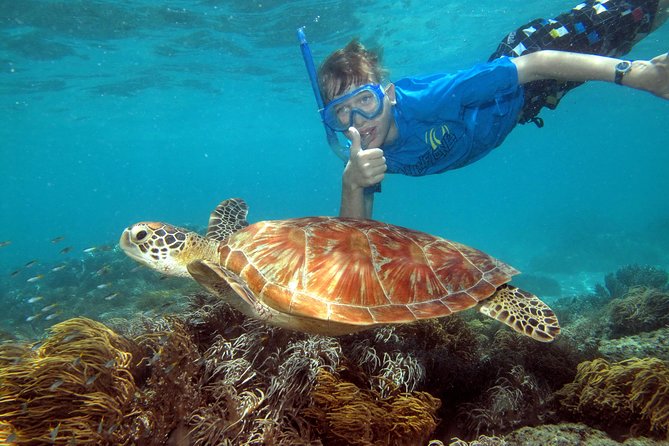 Ocean Spirit Sail to Michaelmas Cay Snorkel or Dive, From Cairns - Journey to Michaelmas Cay