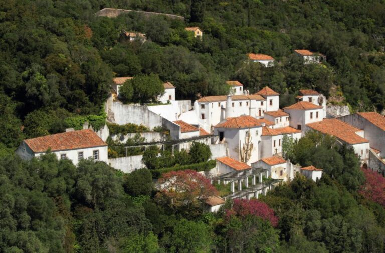 Private Tour – Arrábida & Azeitão Wine Region