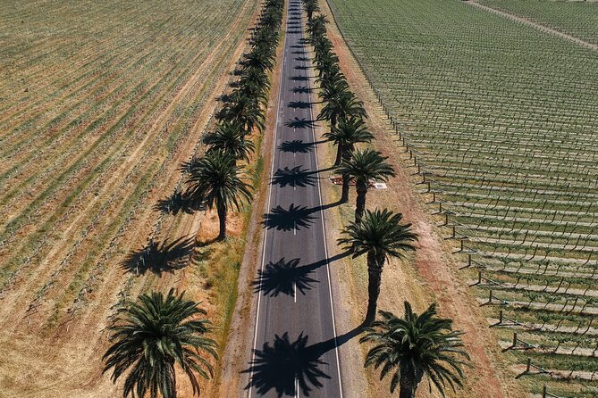 Private Tour in Barossa in a Luxury Car