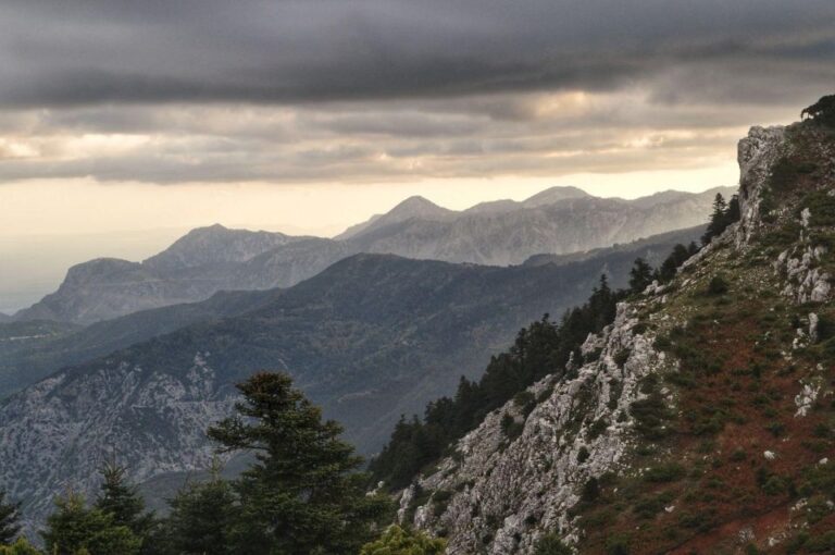 Private Tour in the Chestnut Forest of Steni Evia