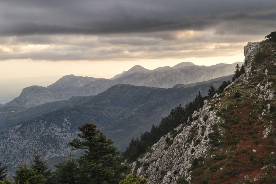 Private Tour in the Chestnut Forest of Steni Evia - Tour Highlights