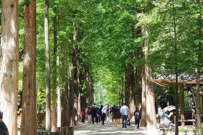 Private Tour Including Nami Island With Attractions in Seoul