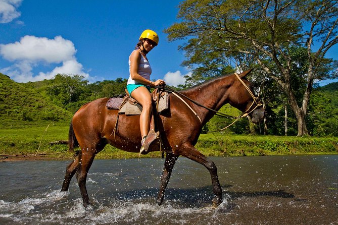 Rainforest Magic Horseback Riding Waterfall Tour Private Park Setting