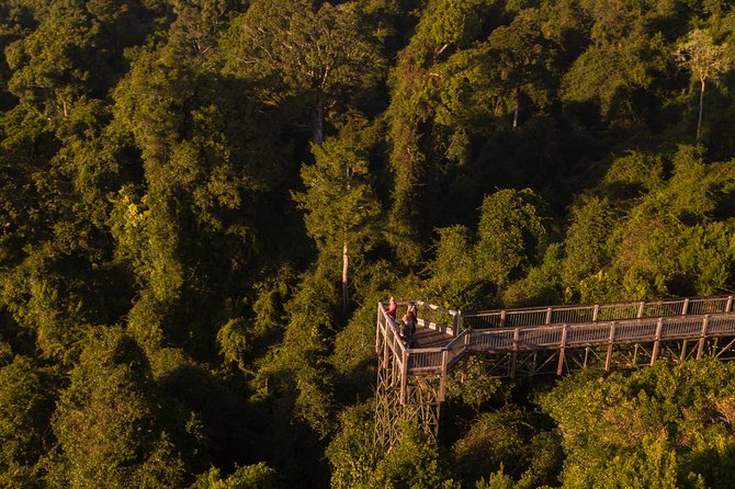 Rainforest & Waterfall Experience