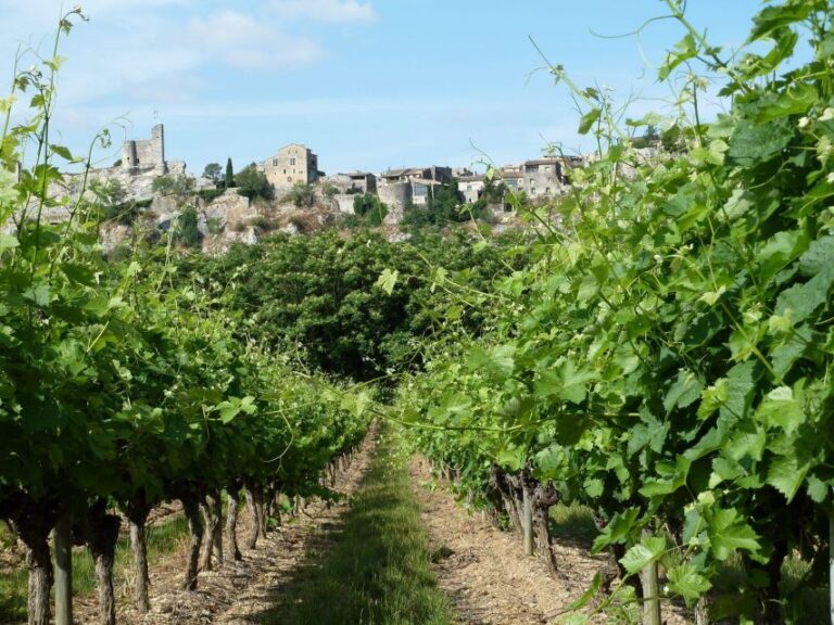 Saint-Martin-d’Ardèche: Electric Bike Wine Tour & Tasting